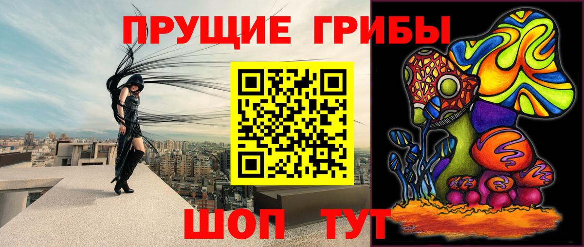 Галлюциногенные грибы GOLDEN TEACHER  Вход с VPN  Псилоцибиновые грибы GOLDEN TEACHER  Красноперекопск 